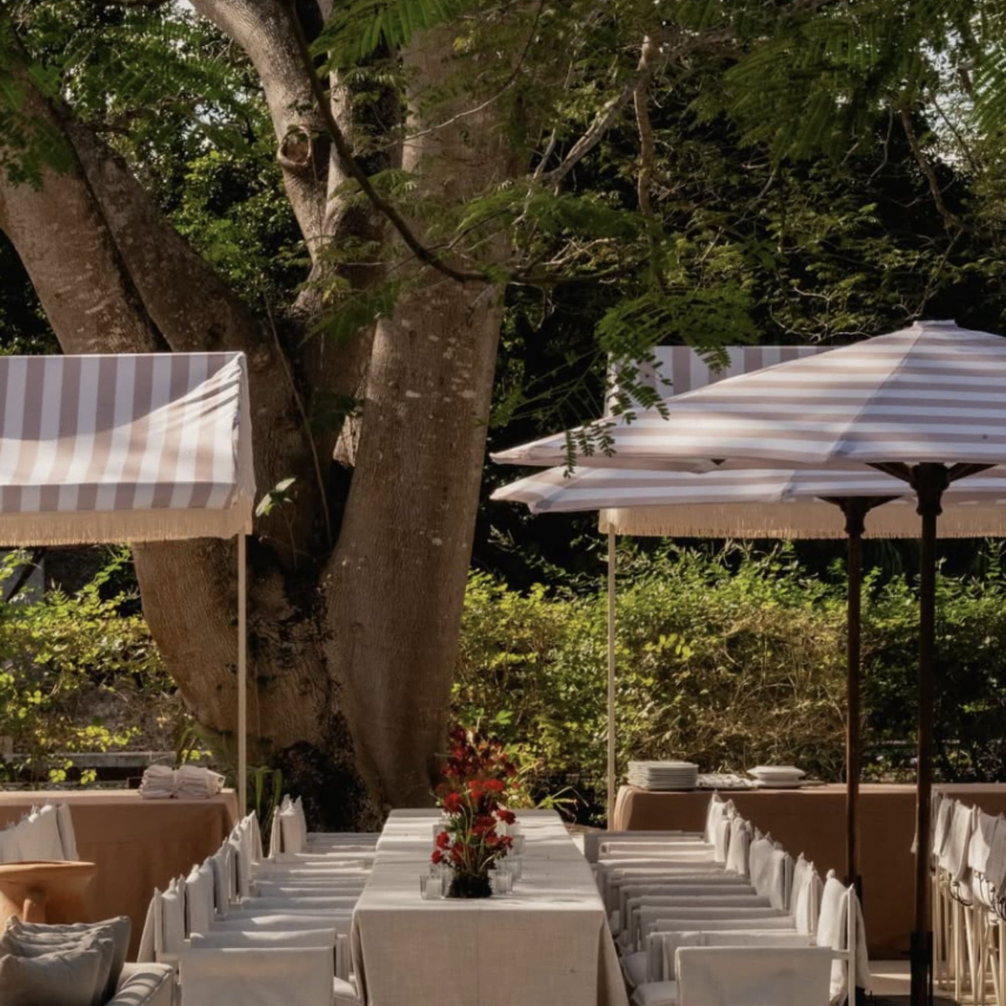 Mesa imperial con mantelería blanca y flores rojas a la sombra de un árbol, entre toldos a rayas