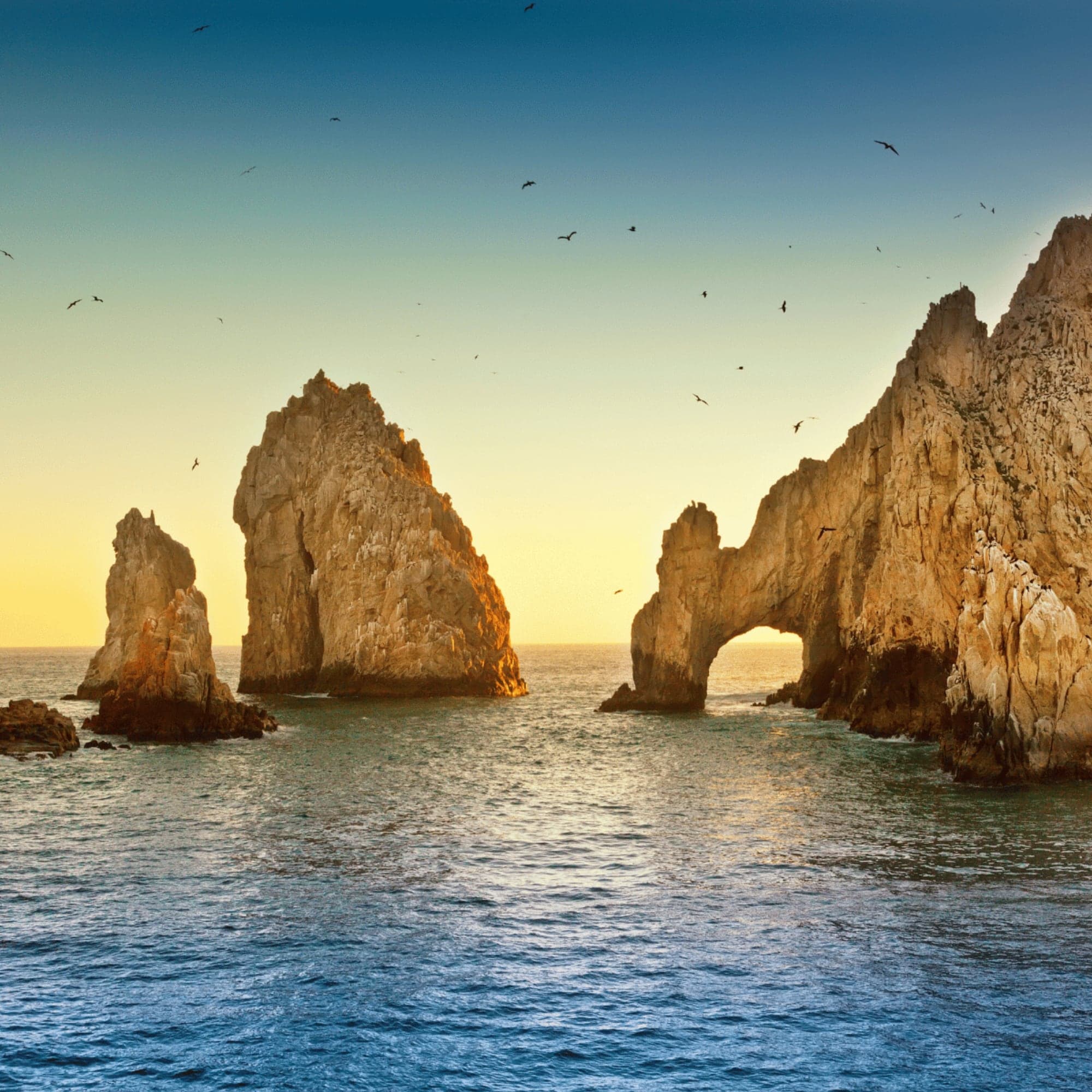 Los Cabos