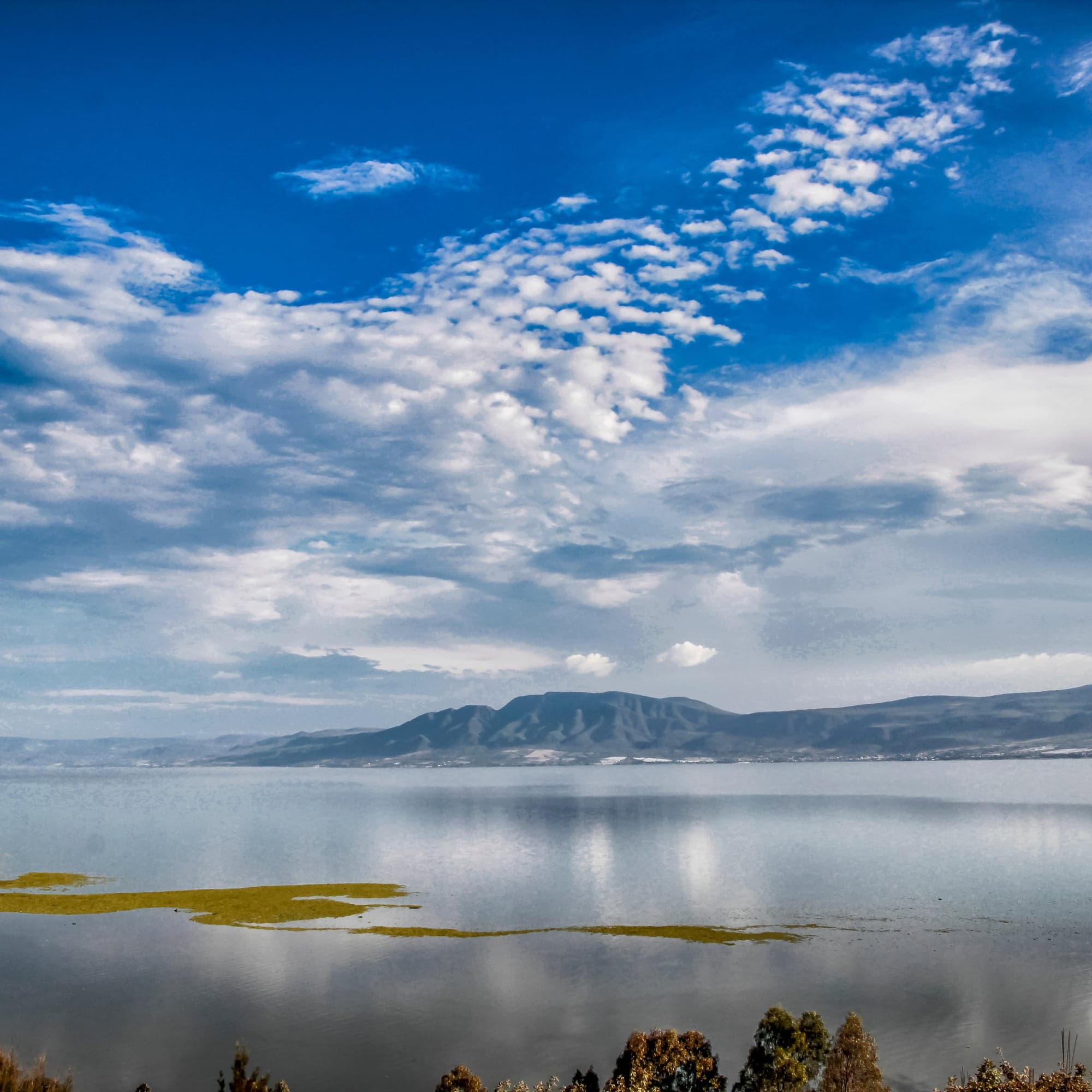 Chapala y Ajijic