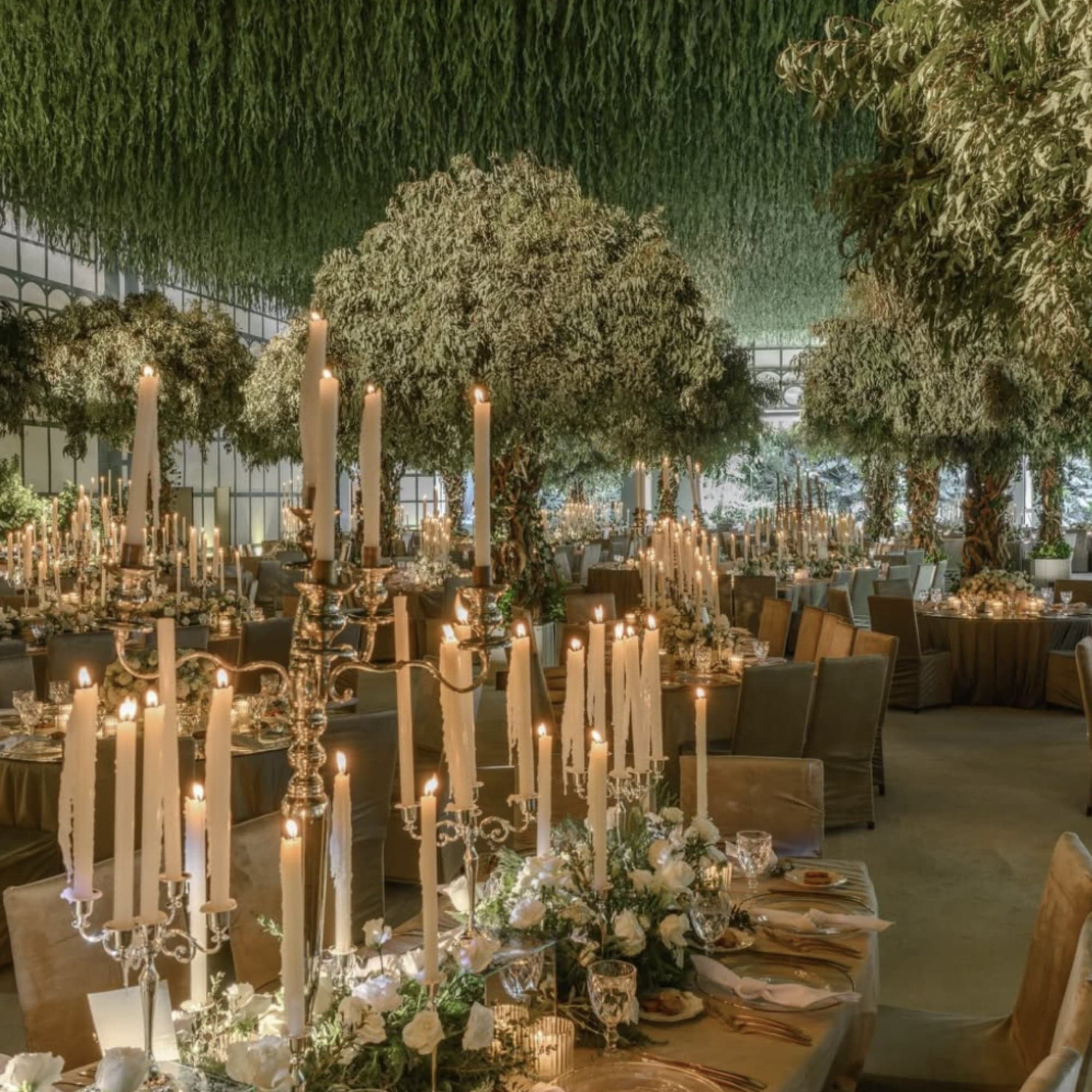 Banquete con candelabros de plata, velas blancas y árboles frondosos bajo un techo de follaje