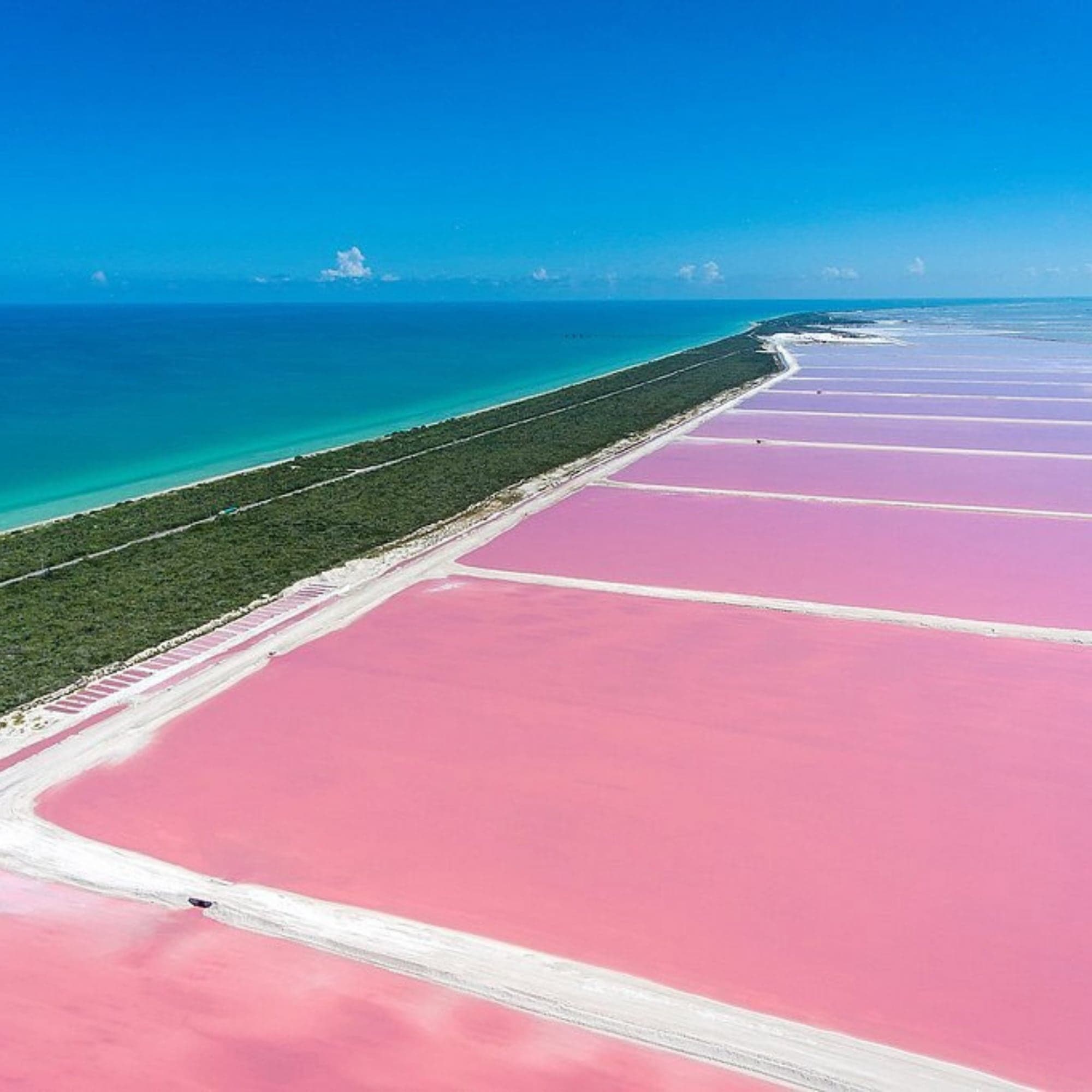 Las Coloradas